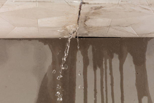 Professional Structural Drying technician working in Mowrystown, OH